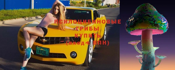 винт Алзамай
