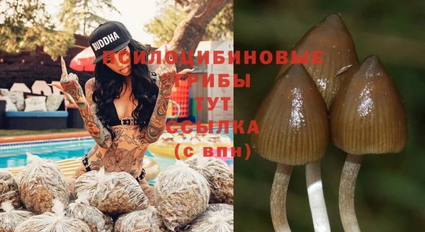 винт Алзамай