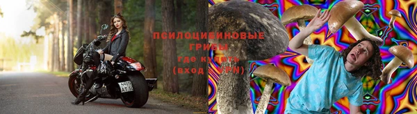 винт Алзамай
